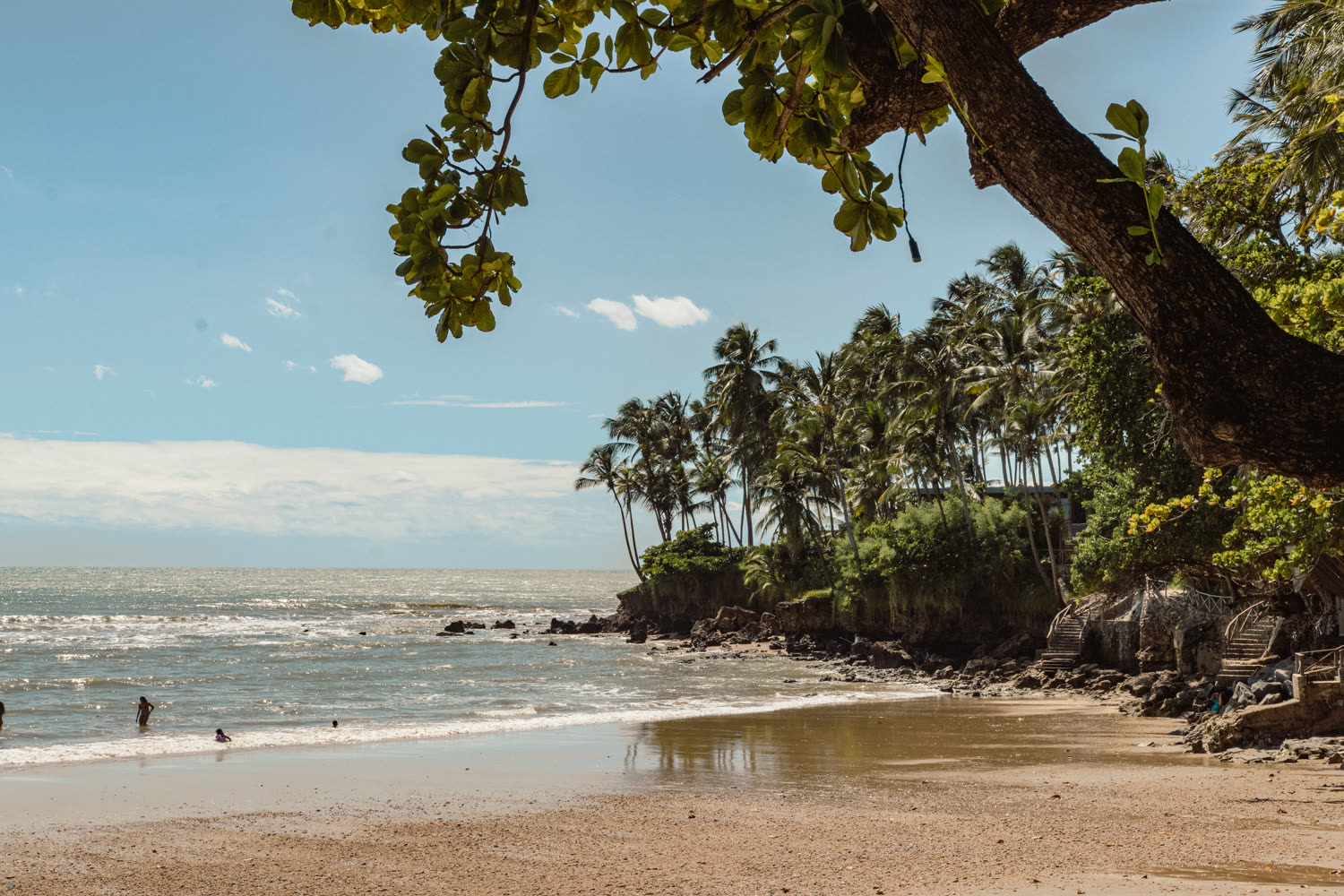 Praia da Taíba com vegetacao nativa