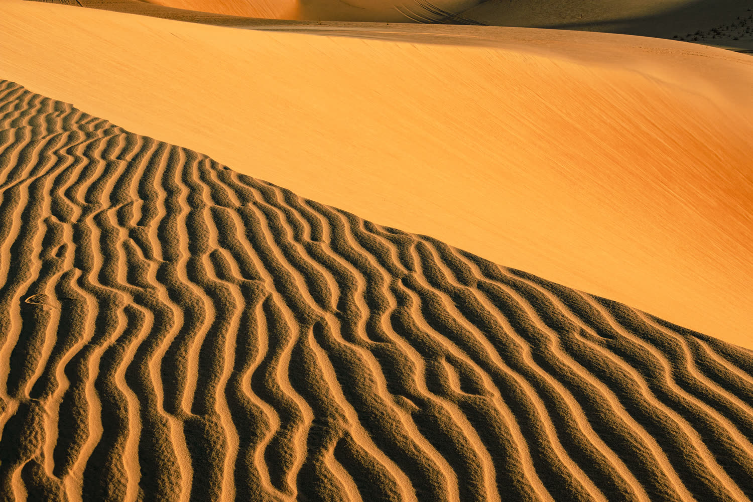 Dunas douradas da Taíba